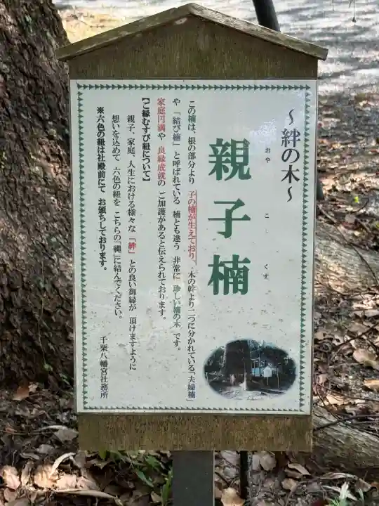 千栗八幡宮(佐賀県)