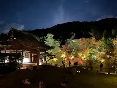 高台寺（高台寿聖禅寺・高臺寺）(京都府)