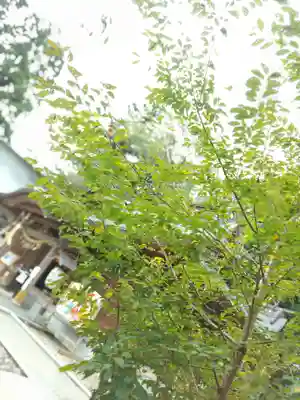駒形神社(岩手県)