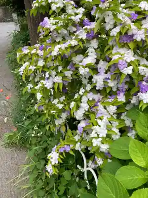 仲町稲荷神社(東京都)