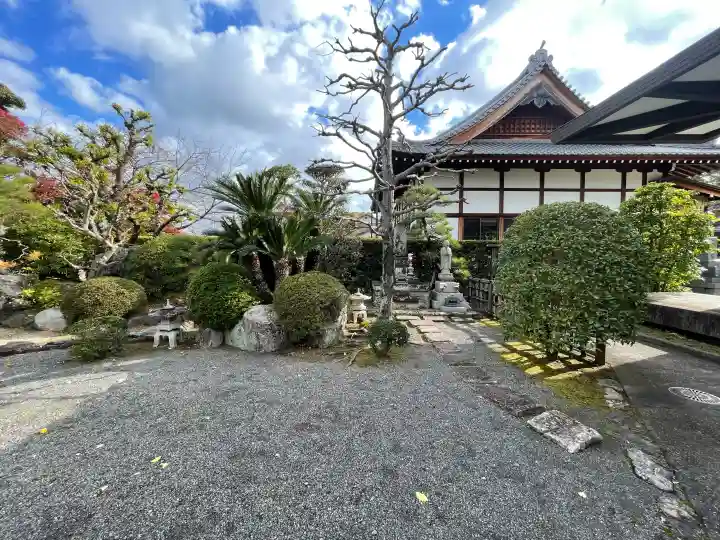 摂取寺の{uncategorized: "未分類", other: "その他", undefined: "問題あり", building: "その他建物", grave: "お墓", sacred_gate: "鳥居", guardian: "狛犬", statue: "像", buddha: "仏像", history: "歴史", nature: "自然", garden: "庭園", animal: "動物", pagoda: "塔", temizu: "手水舎", mountain_gate: "山門・神門", sanctuary: "本殿・本堂", subordinate: "末社・摂社", art: "芸術", scenery: "景色", jizo: "地蔵", ema: "絵馬", goshuin: "御朱印", omikuji: "おみくじ", items: "授与品その他", amulet: "お守り", goshuincho: "御朱印帳", eats: "食事", festival: "お祭り", votive_dance: "神楽", shichigosan: "七五三参", wedding: "結婚式", experience: "体験その他", initially: "初詣", around: "周辺", anti_infection: "感染症対策"}