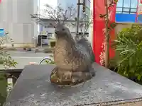 高知大神宮の狛犬