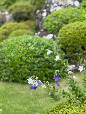 龍潭寺(静岡県)