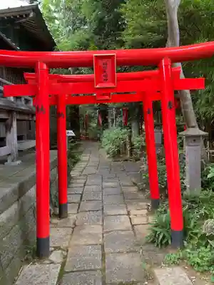 白笹稲荷神社の鳥居