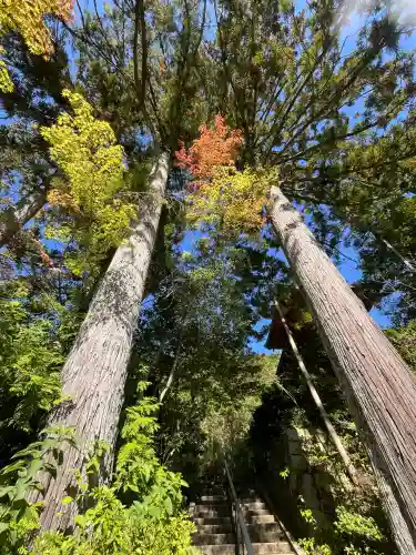 円成寺(奈良県)