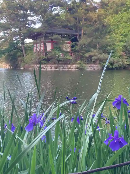 厳島神社(東京都)