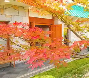 寿量山 速成寺の自然(2020年11月08日(日) 15時36分48秒投稿)