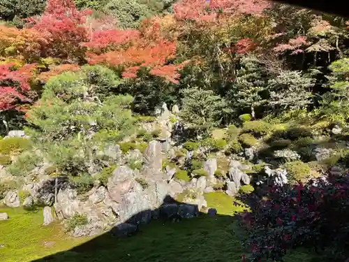 吸湖山　青岸寺の庭園