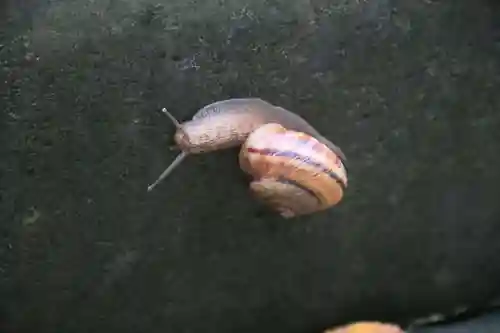 豊景神社の自然