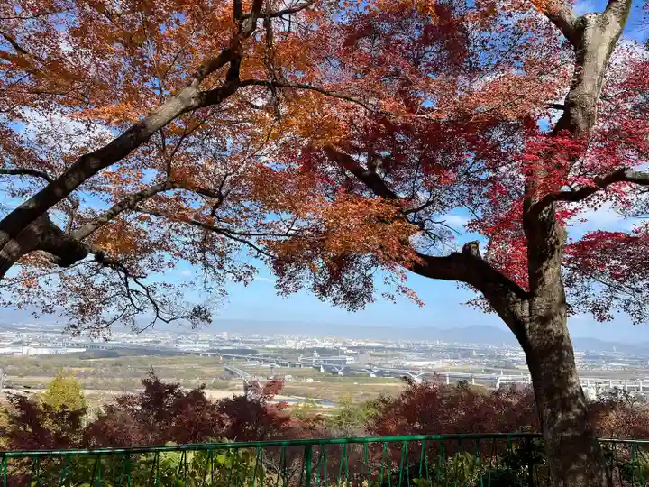 石清水八幡宮(京都府)