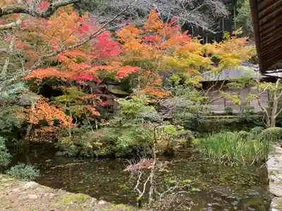 慧日寺(兵庫県)