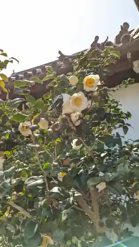 浄安寺(京都府)