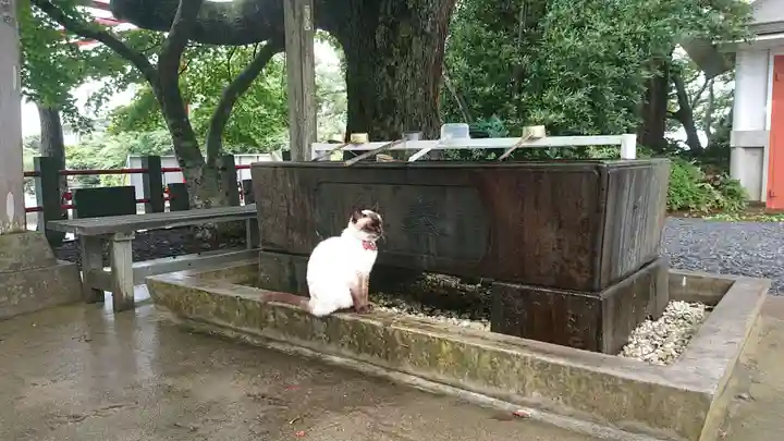 鹿島御児神社の手水舎