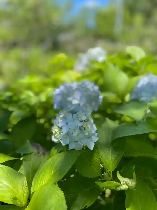 極楽寺(静岡県)