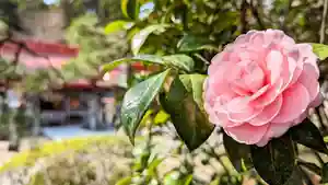 金蛇水神社(宮城県)(2026年04月01日(水) 07時27分35秒投稿)