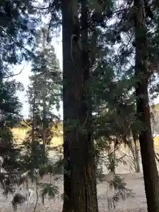 大宮温泉神社(栃木県)(2024年02月11日(日) 08時10分28秒投稿)