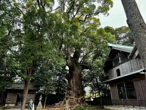 かっぱの寺 栖足寺(静岡県)