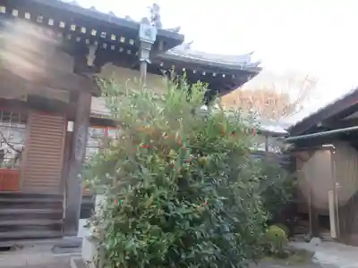 観藏院(東京都)