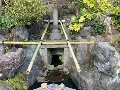 時宗総本山 遊行寺（正式：清浄光寺）の{uncategorized: "未分類", other: "その他", undefined: "問題あり", building: "その他建物", grave: "お墓", sacred_gate: "鳥居", guardian: "狛犬", statue: "像", buddha: "仏像", history: "歴史", nature: "自然", garden: "庭園", animal: "動物", pagoda: "塔", temizu: "手水舎", mountain_gate: "山門・神門", sanctuary: "本殿・本堂", subordinate: "末社・摂社", art: "芸術", scenery: "景色", jizo: "地蔵", ema: "絵馬", goshuin: "御朱印", omikuji: "おみくじ", items: "授与品その他", amulet: "お守り", goshuincho: "御朱印帳", eats: "食事", festival: "お祭り", votive_dance: "神楽", shichigosan: "七五三参", wedding: "結婚式", experience: "体験その他", initially: "初詣", around: "周辺", anti_infection: "感染症対策"}