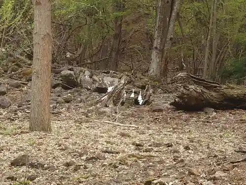 雛鶴神社(山梨県)