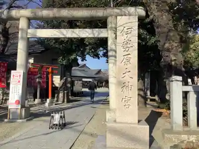 伊勢原大神宮の鳥居