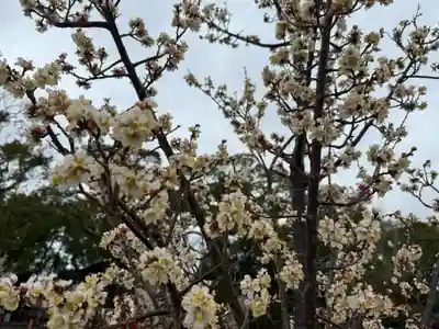 美奈宜神社(福岡県)