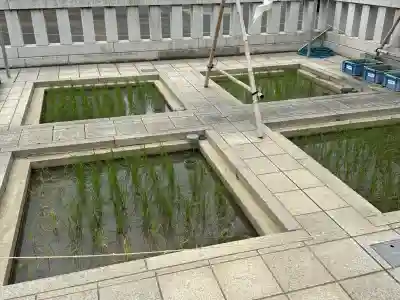東京羽田 穴守稲荷神社(東京都)