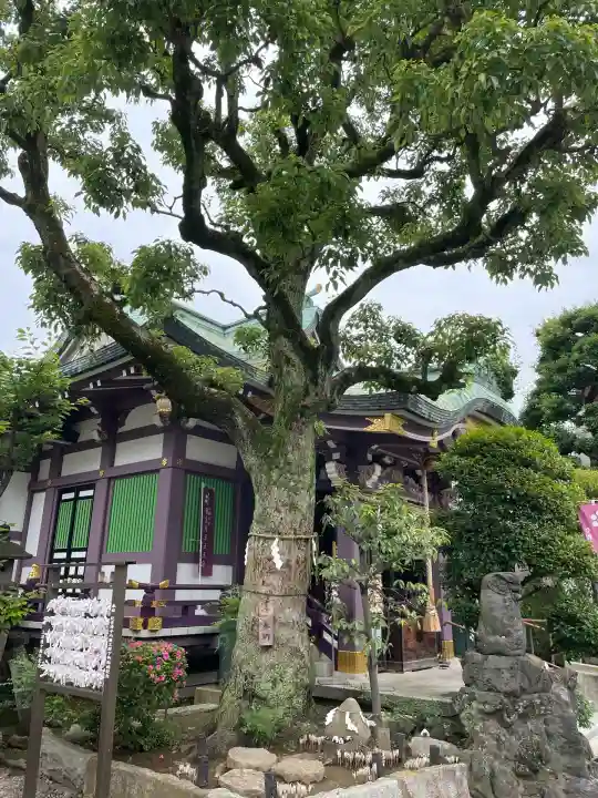 高木神社(東京都)
