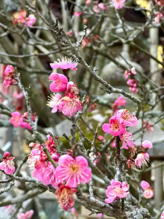 常宮神社(福井県)