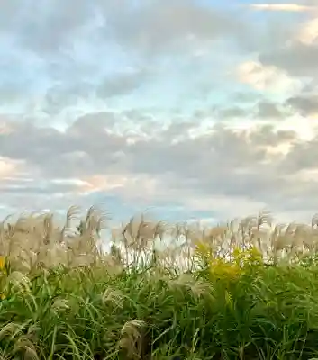 蚊里田八幡宮(長野県)