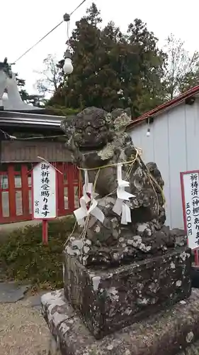 荒雄神社の狛犬