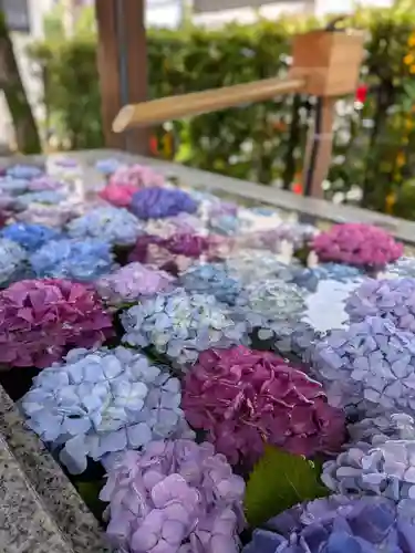 桜神宮(東京都)