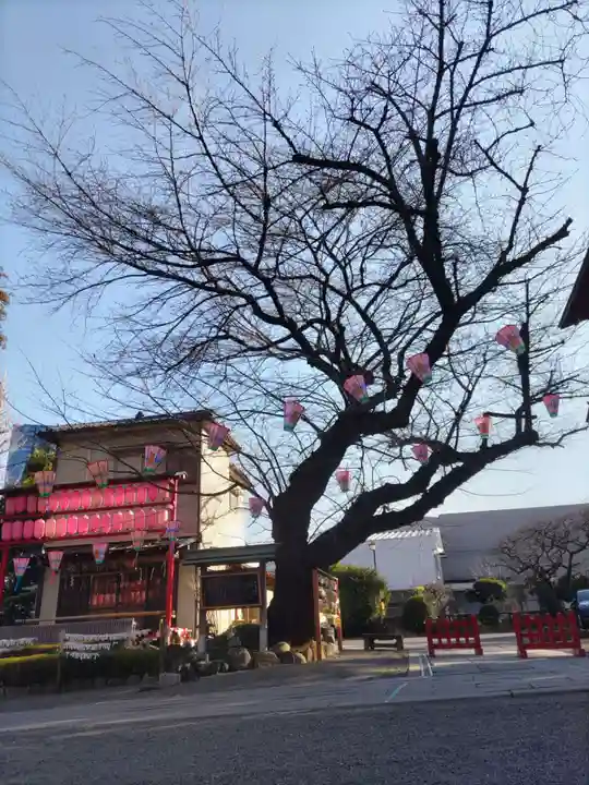 居木神社の自然