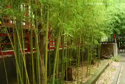 東神奈川熊野神社(神奈川県)