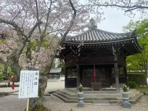 粉河寺の{uncategorized: "未分類", other: "その他", undefined: "問題あり", building: "その他建物", grave: "お墓", sacred_gate: "鳥居", guardian: "狛犬", statue: "像", buddha: "仏像", history: "歴史", nature: "自然", garden: "庭園", animal: "動物", pagoda: "塔", temizu: "手水舎", mountain_gate: "山門・神門", sanctuary: "本殿・本堂", subordinate: "末社・摂社", art: "芸術", scenery: "景色", jizo: "地蔵", ema: "絵馬", goshuin: "御朱印", omikuji: "おみくじ", items: "授与品その他", amulet: "お守り", goshuincho: "御朱印帳", eats: "食事", festival: "お祭り", votive_dance: "神楽", shichigosan: "七五三参", wedding: "結婚式", experience: "体験その他", initially: "初詣", around: "周辺", anti_infection: "感染症対策"}