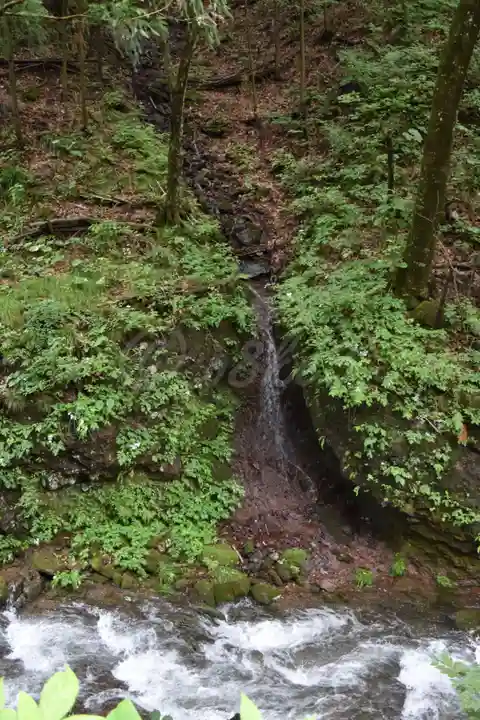 榛名神社の自然
