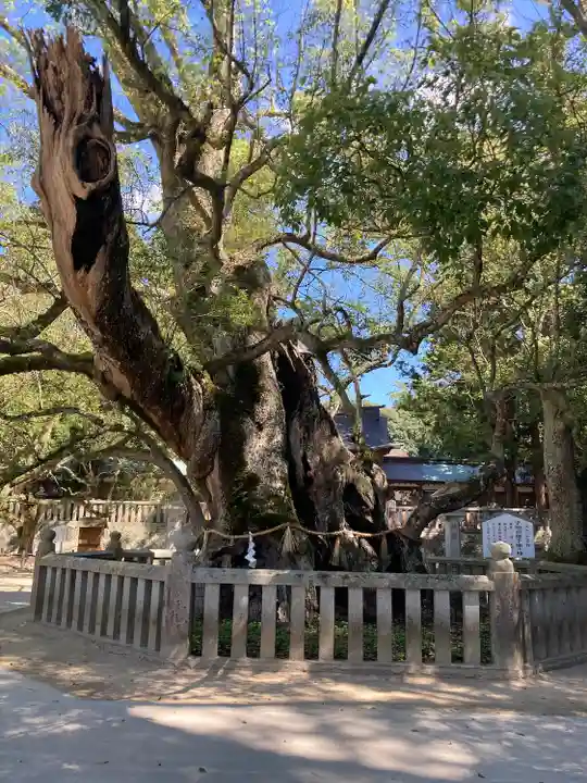 大山祇神社(愛媛県)