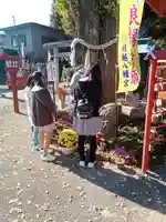 川越八幡宮(埼玉県)