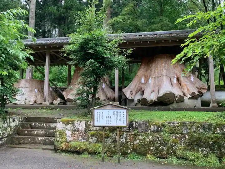 宇奈岐日女神社の自然