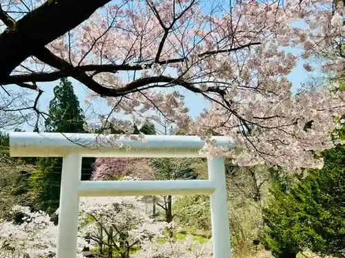 土津神社｜こどもと出世の神さまの鳥居