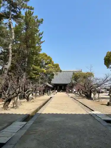 大樹寺（松安院大樹寺）(愛知県)