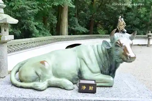 金剛證寺の狛犬