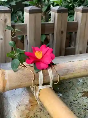 石川町諏訪神社の手水舎