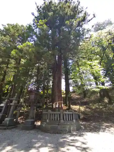 諏訪大社下社春宮(長野県)