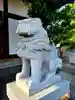 小浜神社の狛犬