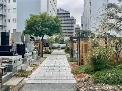 西応寺の{uncategorized: "未分類", other: "その他", undefined: "問題あり", building: "その他建物", grave: "お墓", sacred_gate: "鳥居", guardian: "狛犬", statue: "像", buddha: "仏像", history: "歴史", nature: "自然", garden: "庭園", animal: "動物", pagoda: "塔", temizu: "手水舎", mountain_gate: "山門・神門", sanctuary: "本殿・本堂", subordinate: "末社・摂社", art: "芸術", scenery: "景色", jizo: "地蔵", ema: "絵馬", goshuin: "御朱印", omikuji: "おみくじ", items: "授与品その他", amulet: "お守り", goshuincho: "御朱印帳", eats: "食事", festival: "お祭り", votive_dance: "神楽", shichigosan: "七五三参", wedding: "結婚式", experience: "体験その他", initially: "初詣", around: "周辺", anti_infection: "感染症対策"}