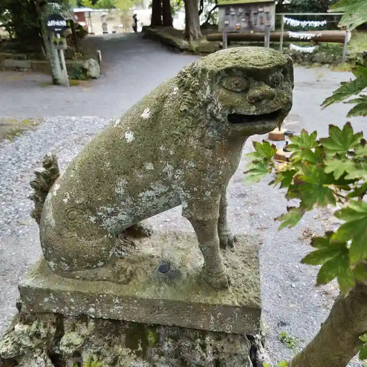雲仙温泉神社の狛犬