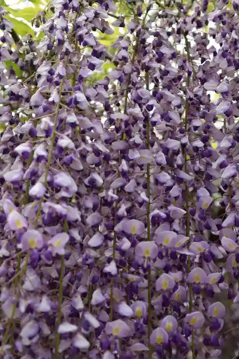三大神社(滋賀県)