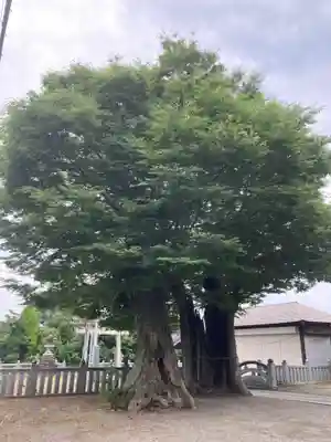 真田神社(神奈川県)