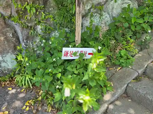 鎌足稲荷神社（鎌足稲荷社）(神奈川県)
